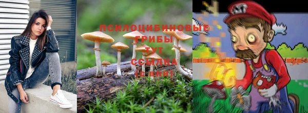 амф Алексеевка