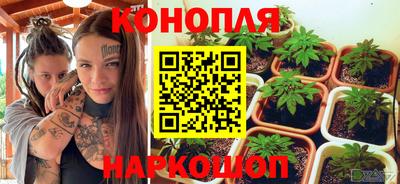 прущие крисы Краснознаменск