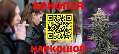 прущие крисы Краснознаменск