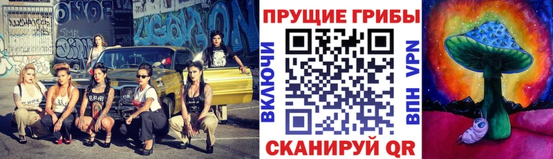 Псилоцибиновые грибы Psilocybe  Полевской 