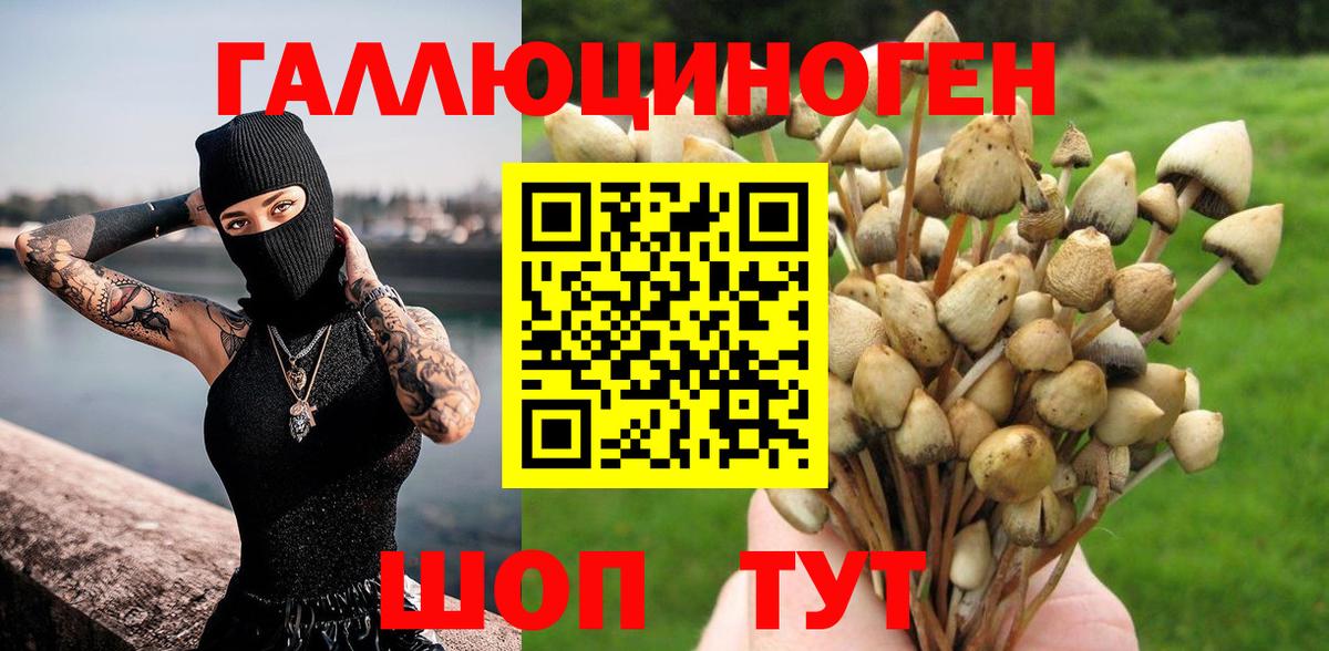 Псилоцибиновые грибы Magic Shrooms Полевской